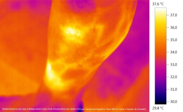 Termografía Aplicada a la MEDICINA , Veterinaria y el DEPORTE